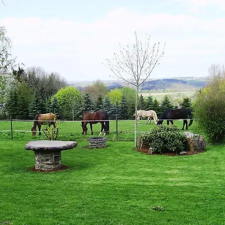 شقة Haus Maria Olmscheid