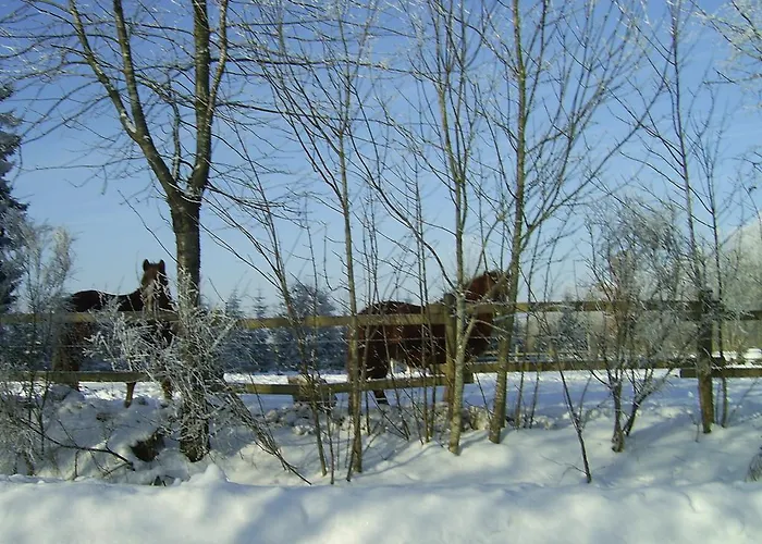 Haus Maria דירה *